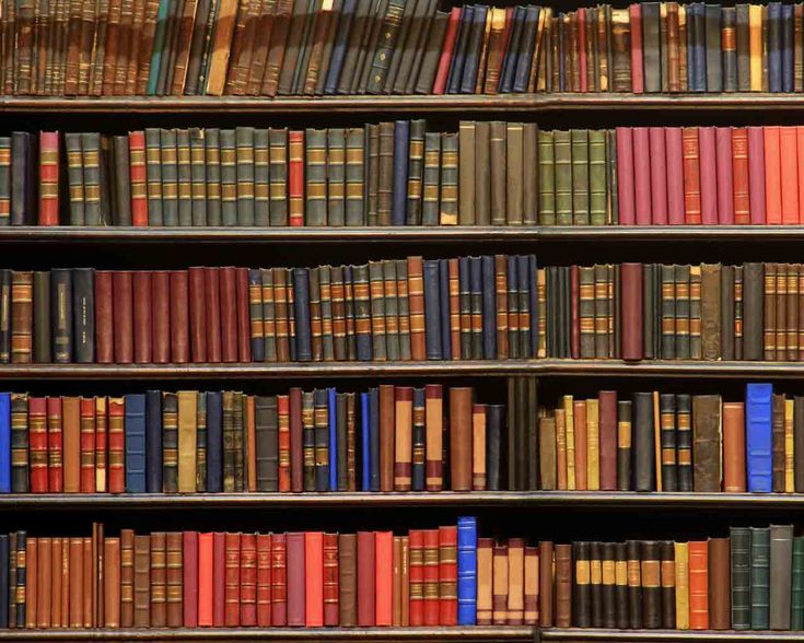 books on shelves